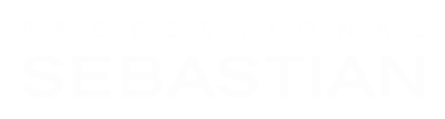 seb41